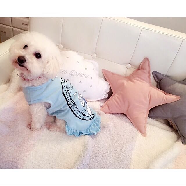maimai_for_uさんの実例写真