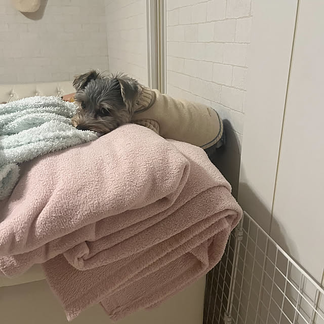 marikoさんの実例写真