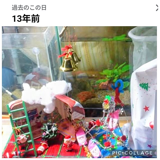 mi-saさんの部屋