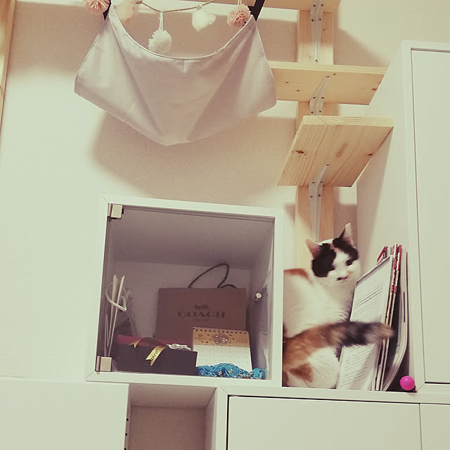 chocoさんの実例写真