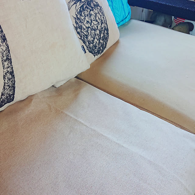 cocosorasakuさんの実例写真