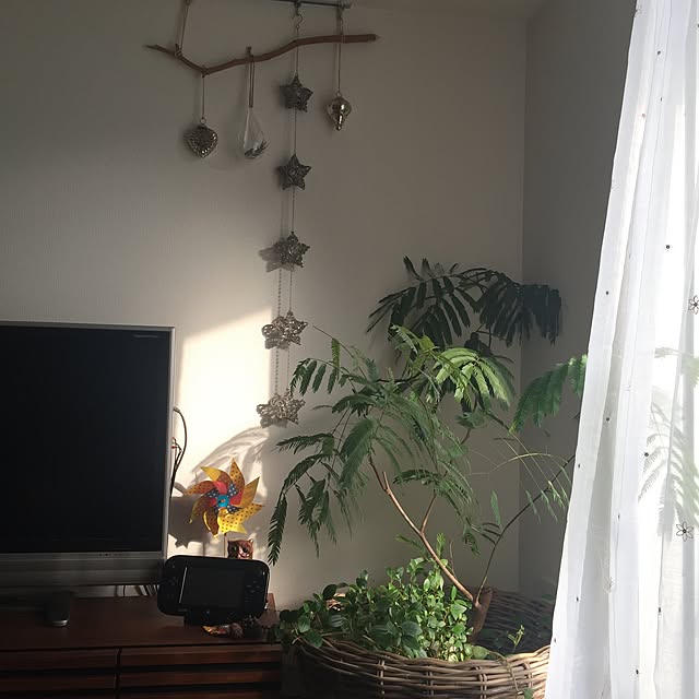 r.さんの実例写真