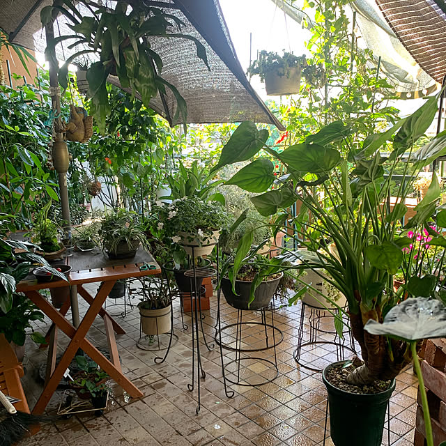 Aqettyさんの部屋