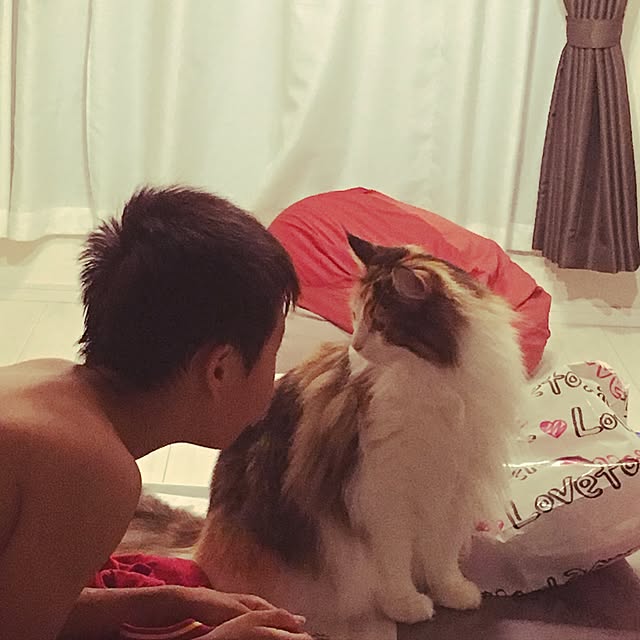 Tomokoさんの実例写真