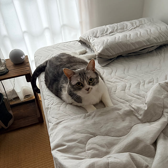 Atelier.mさんの実例写真