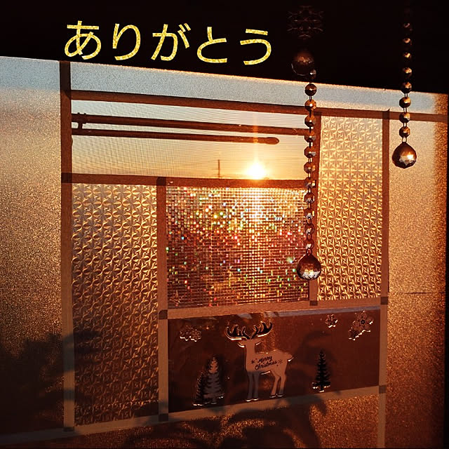 yokomokoさんの実例写真
