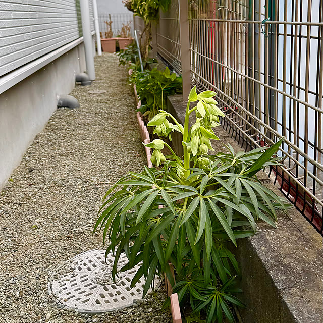 nonnonさんの実例写真