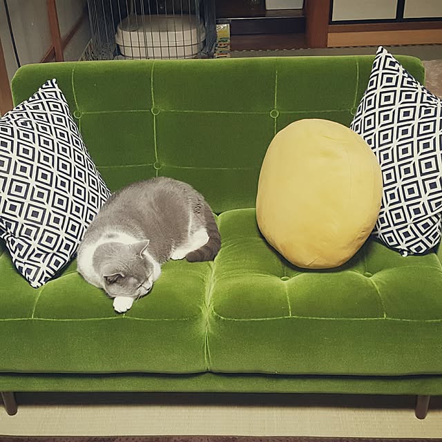 rhuさんの実例写真