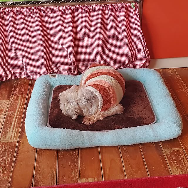 kumutanさんの部屋