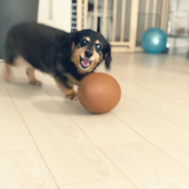 ohanaさんの実例写真