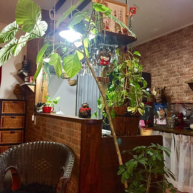 butachanさんの実例写真