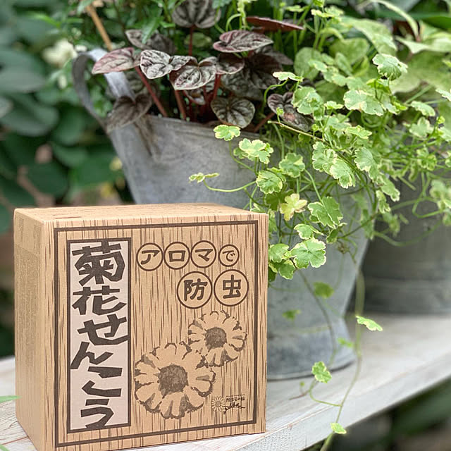Royal_Gardeners_Clubさんの部屋