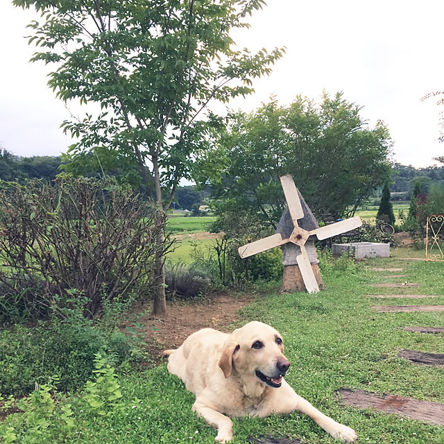 settさんの実例写真