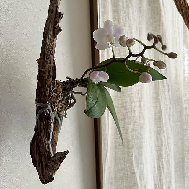 kuuさんの部屋