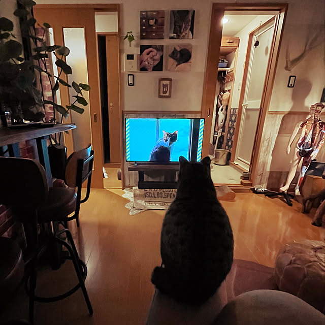 Mさんの実例写真