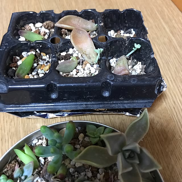 chuchuさんの実例写真