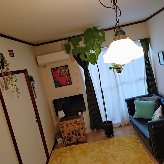 moruさんの部屋