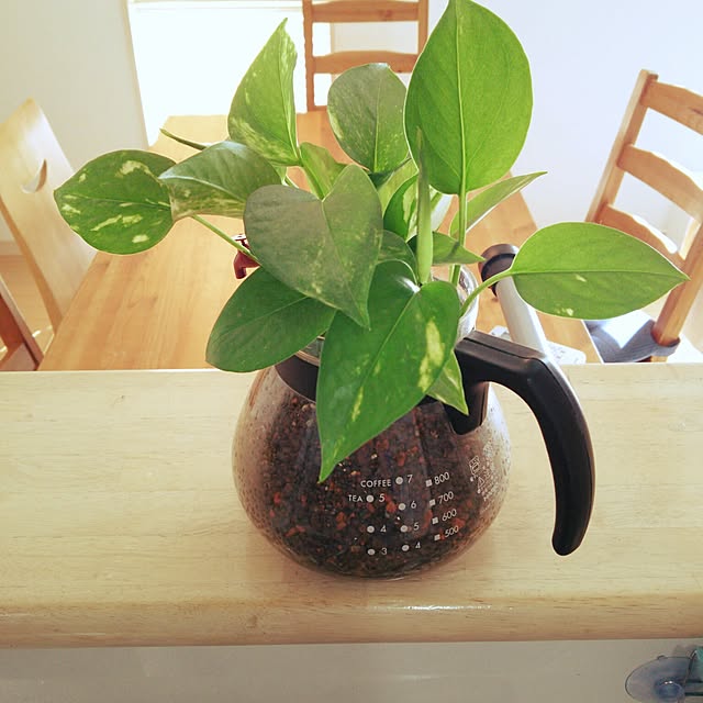 teamoさんの実例写真