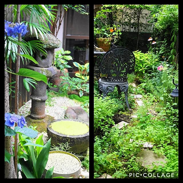 aromameさんの実例写真