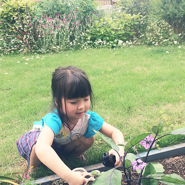 yudumireさんの実例写真