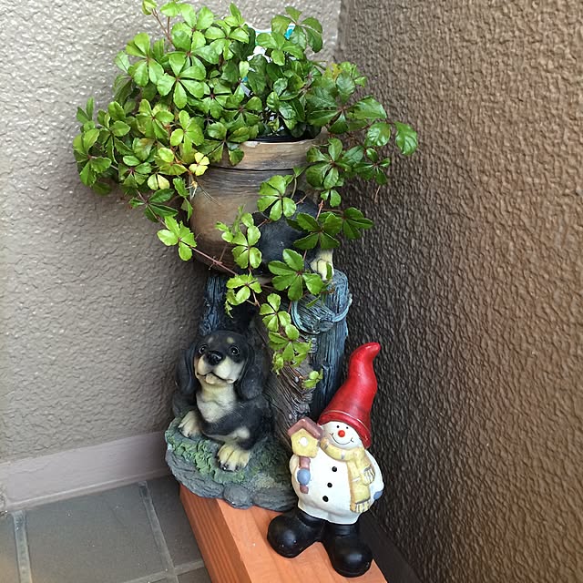 non.wakaさんの実例写真