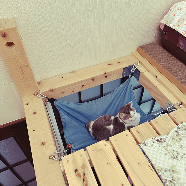 yurari.bonnさんの部屋