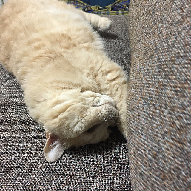 naokoさんの部屋