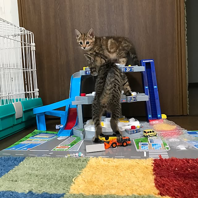 pepeさんの実例写真
