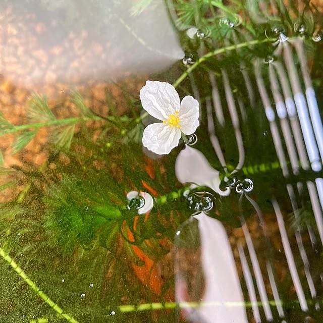 min_nimさんの実例写真