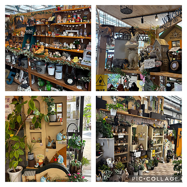 chIoeさんの部屋