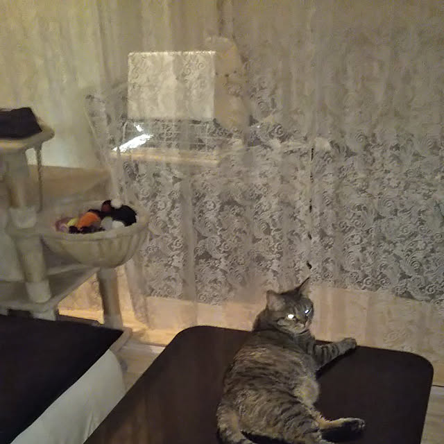 runaさんの実例写真