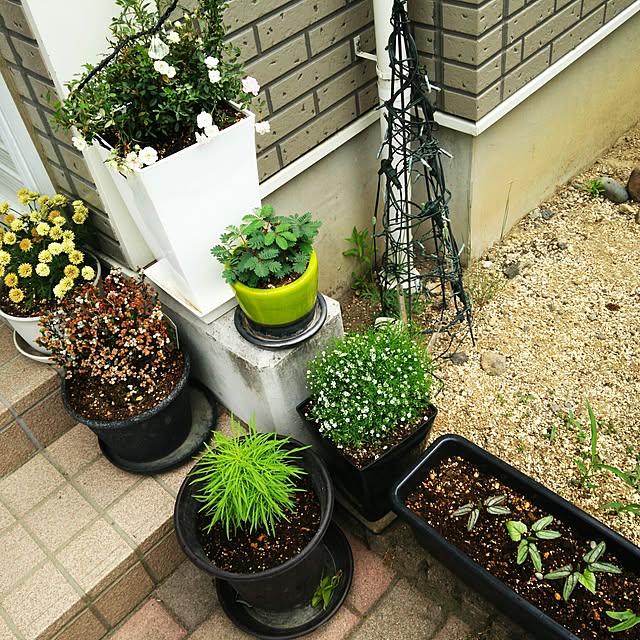 sunflowerさんの実例写真