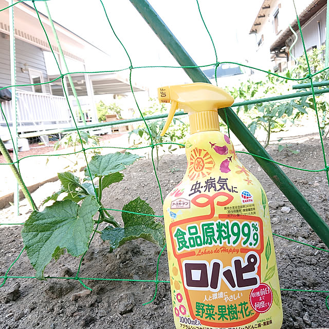 piさんの実例写真