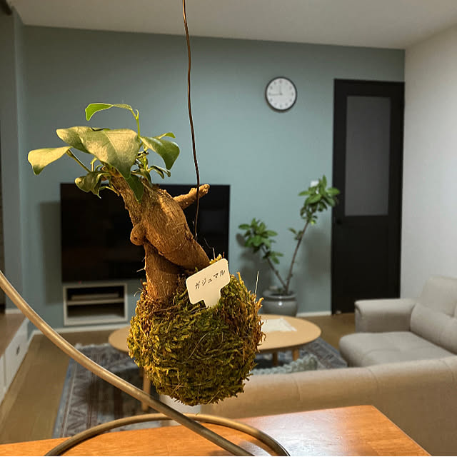 IROさんの部屋