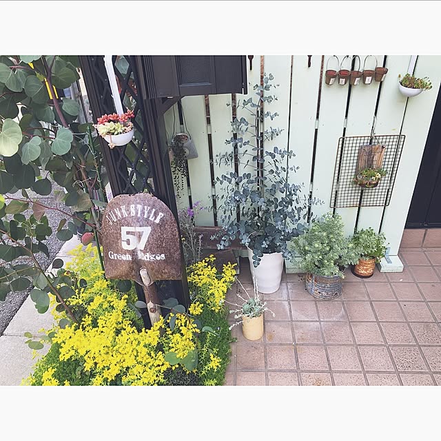 yukkaさんの実例写真