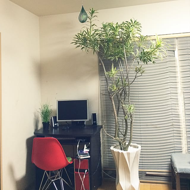 okan0908さんの実例写真