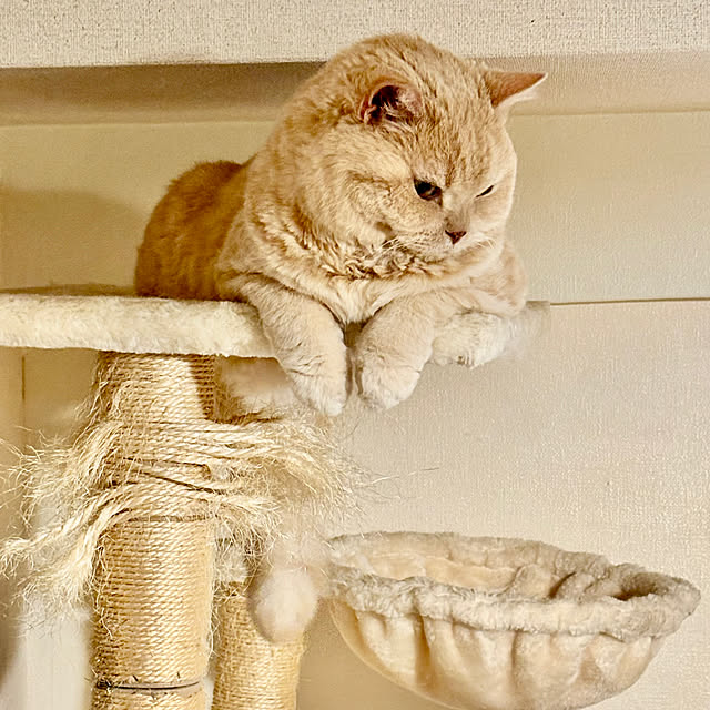 naokoさんの部屋