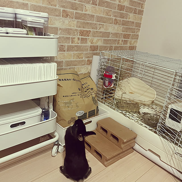 Yukaさんの実例写真