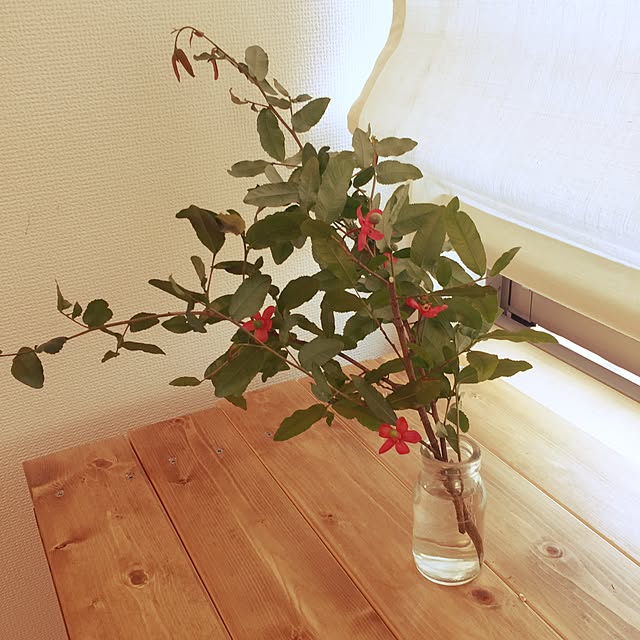 yklvさんの実例写真