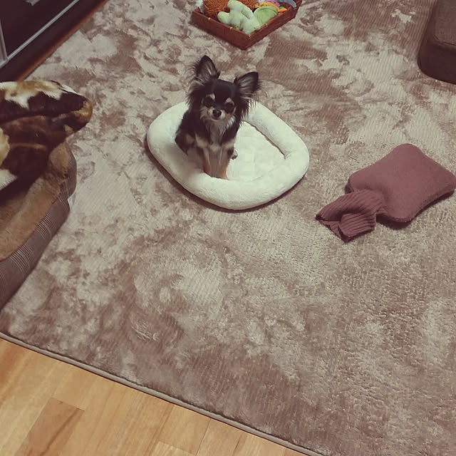 Chinatsu.Iさんの実例写真