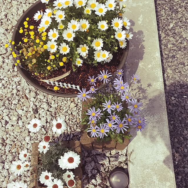 krmamaさんの実例写真
