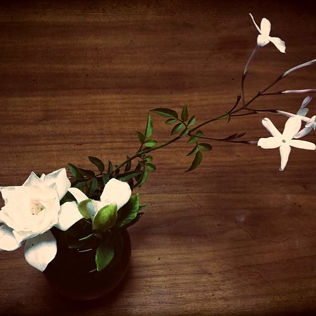 机/植物のインテリア実例 - 2014-06-09 01:36:44