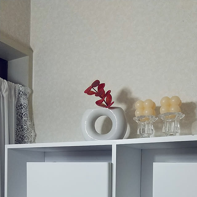 Renさんの実例写真