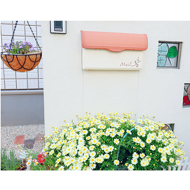 maiyukapiさんの実例写真