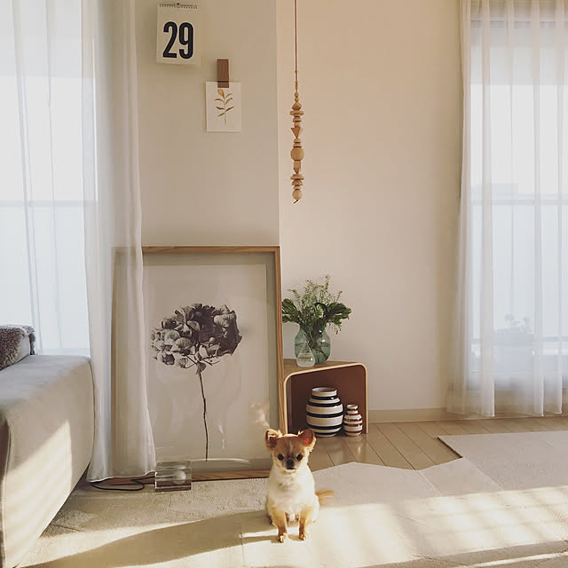 haruhinaさんの実例写真
