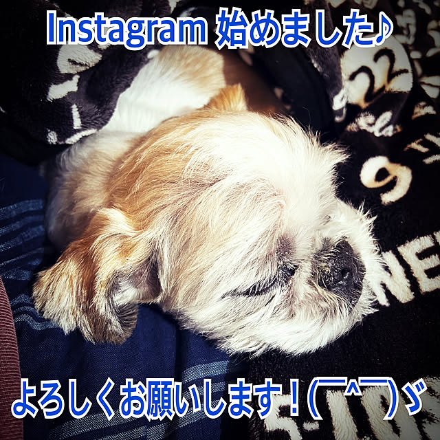 lenkaさんの実例写真
