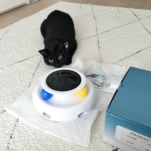 sakuraさんの部屋