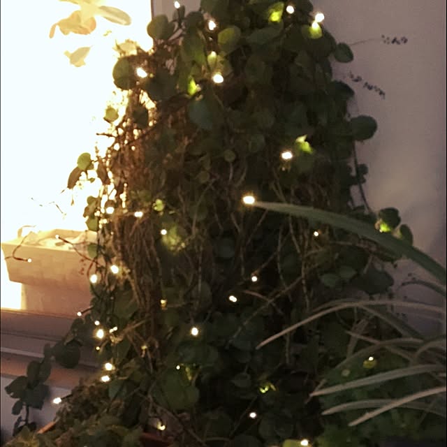 akika_naturalhomeさんの実例写真