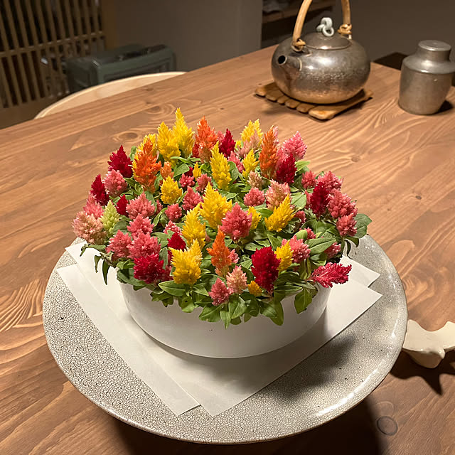Takenoyaさんの部屋
