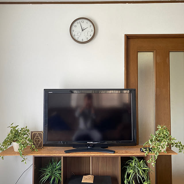 観葉植物/DIY/一人暮らし/リビングのインテリア実例 - 2021-04-26 11:02:40